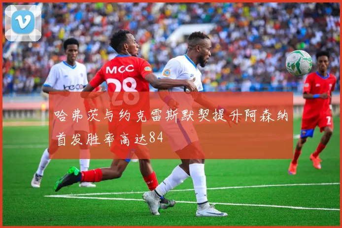 哈弗茨与约克雷斯默契提升阿森纳首发胜率高达84